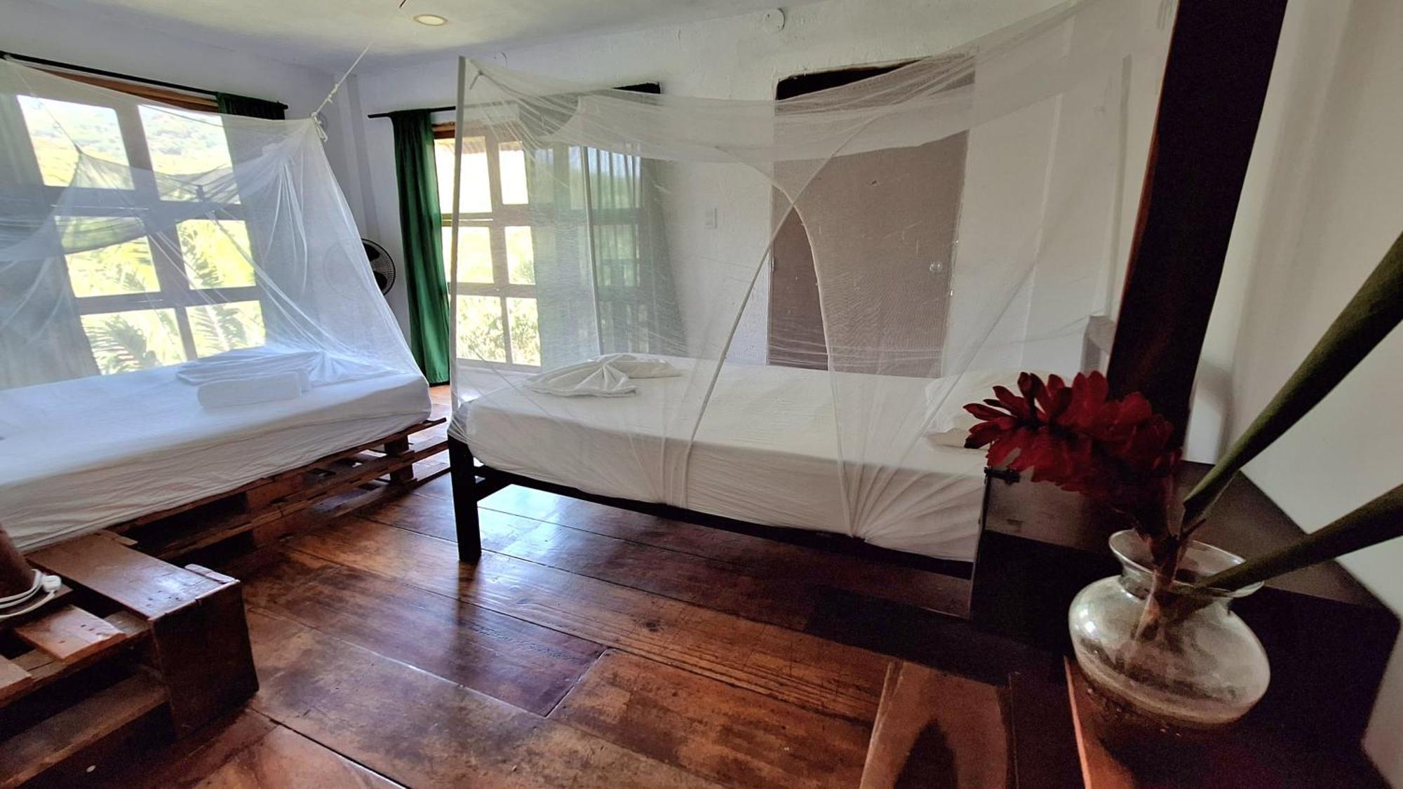 Hostal Mama Tayrona Calabazo  Ngoại thất bức ảnh