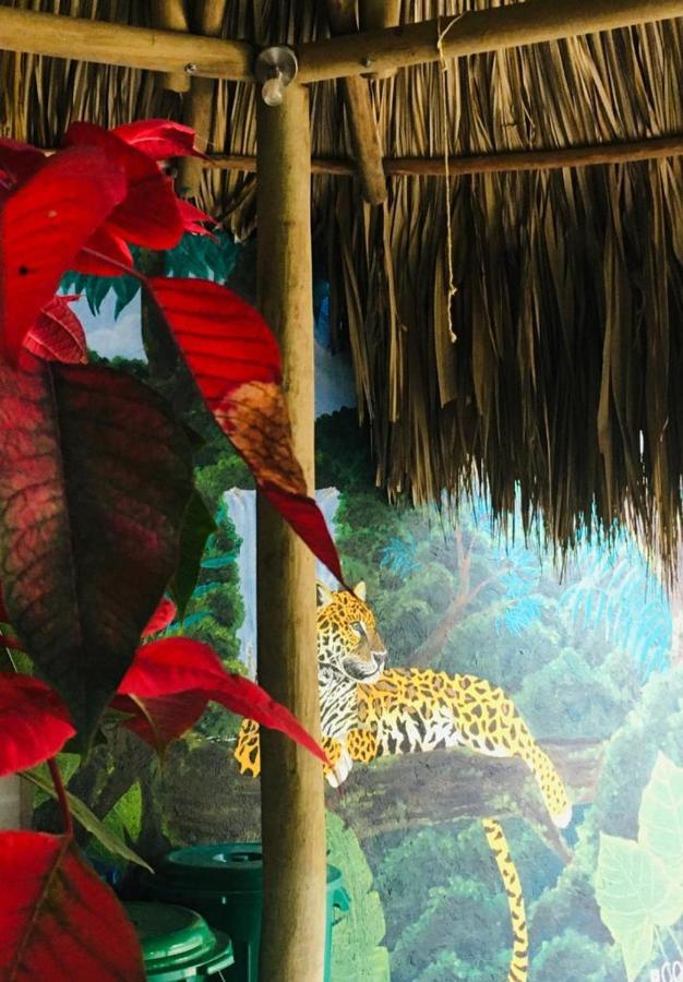 Hostal Mama Tayrona Calabazo  Ngoại thất bức ảnh